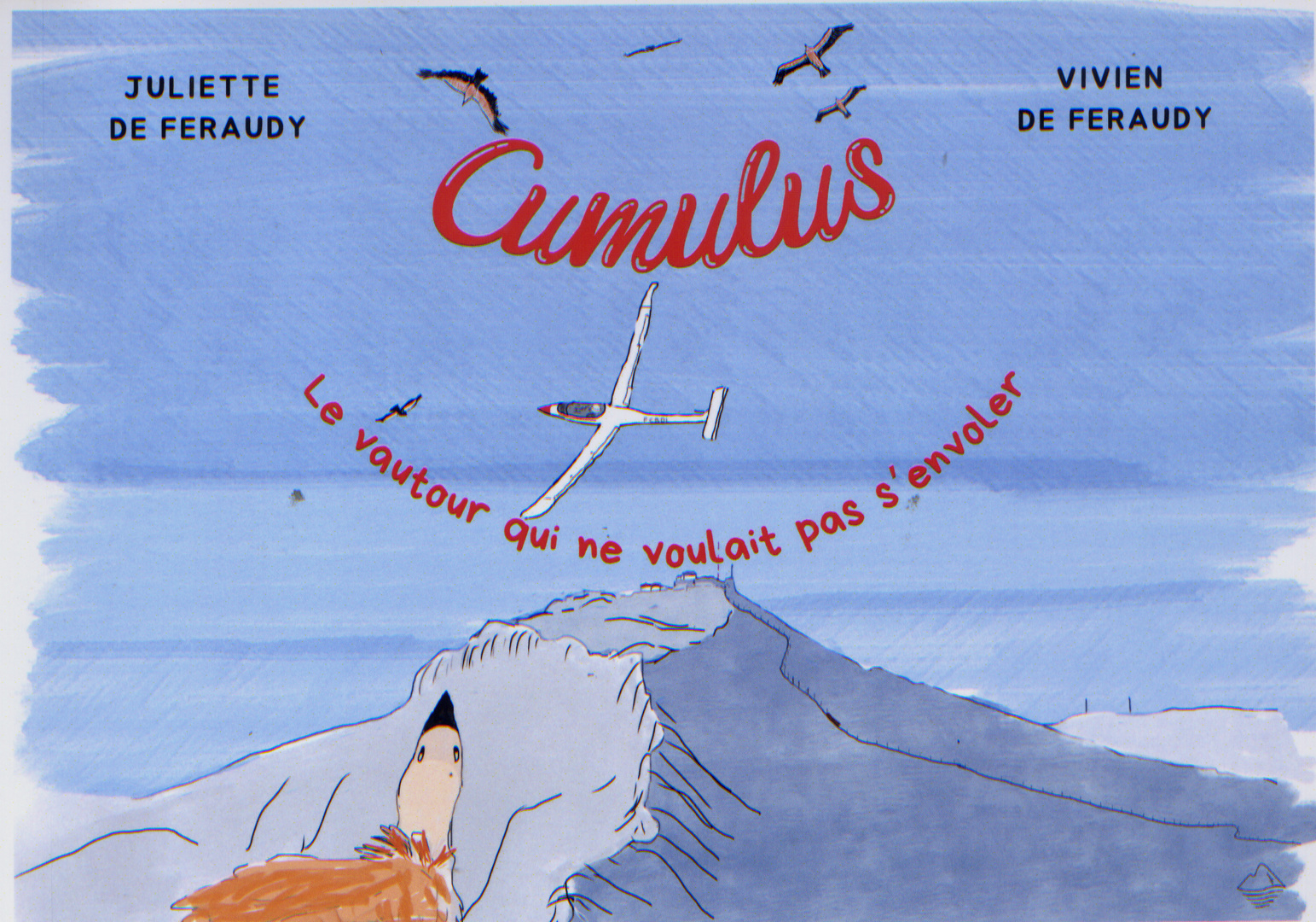 Cumulus le
                          vautour