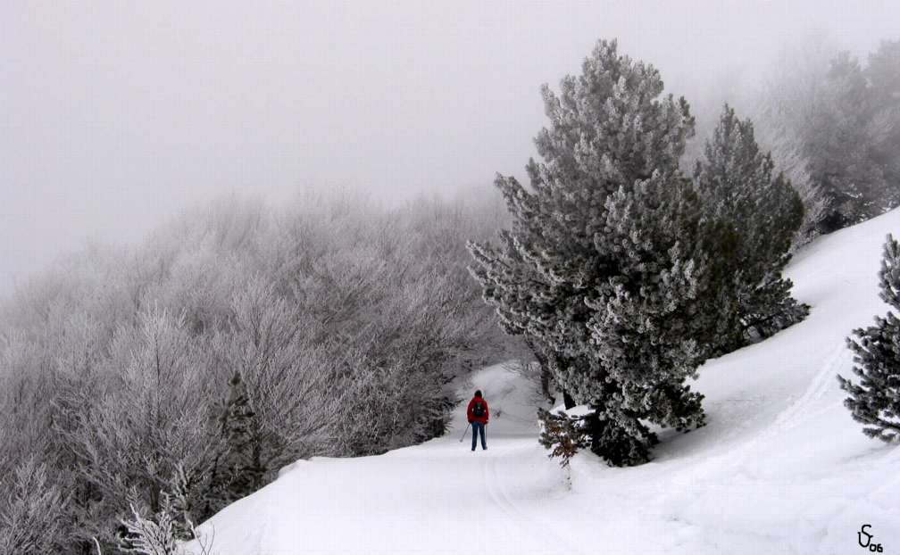 Givre au Somport