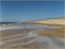 Landes