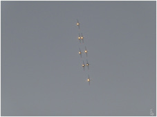 Patrouille



















                                                          de France