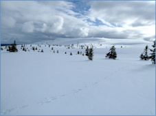 Storefjell