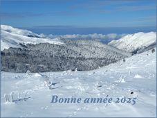 bonne anne