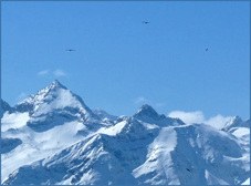 Luchonnais