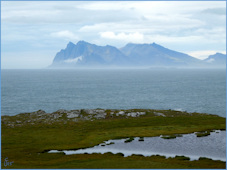 Höfn