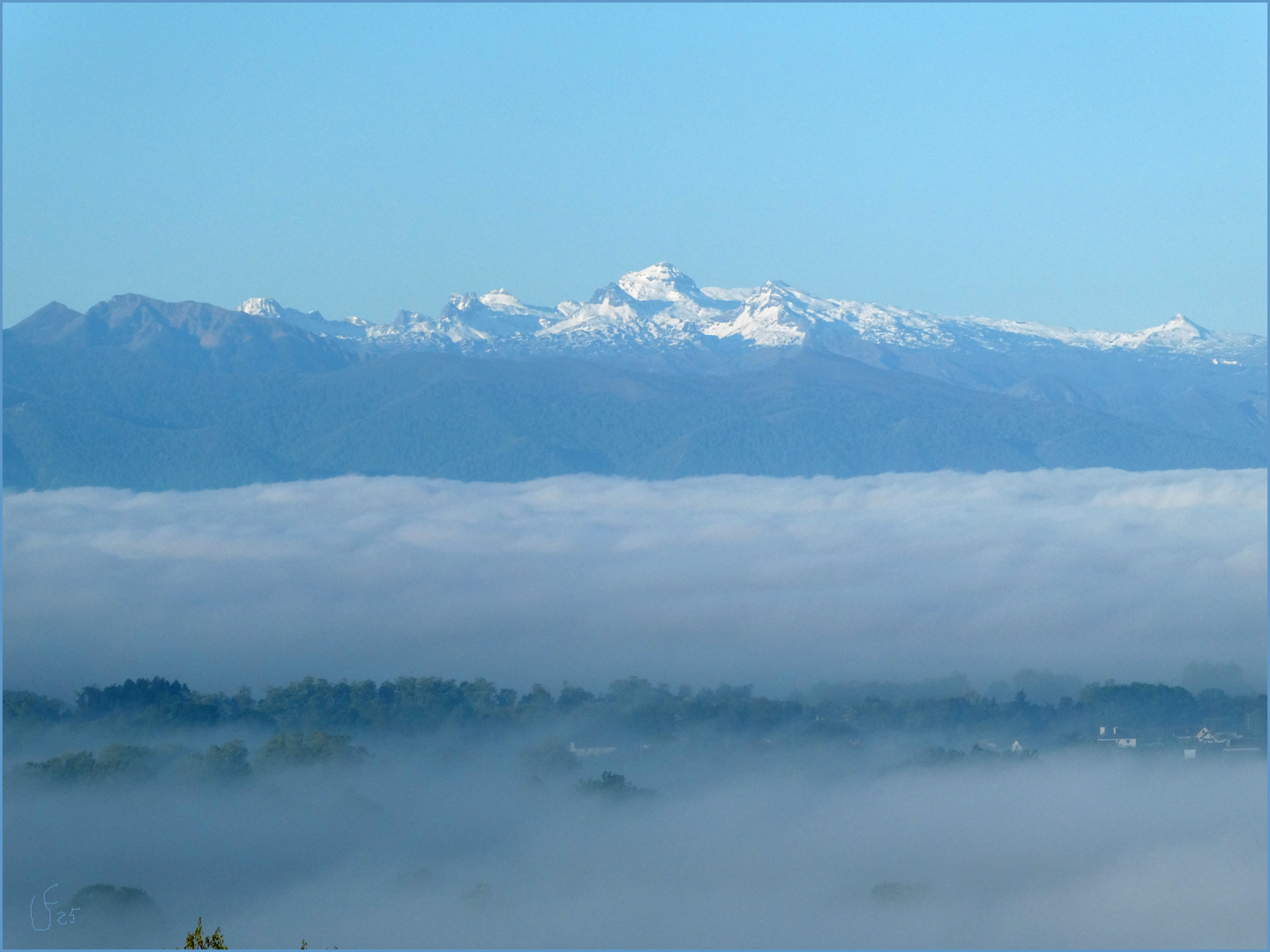 Brume matinale
