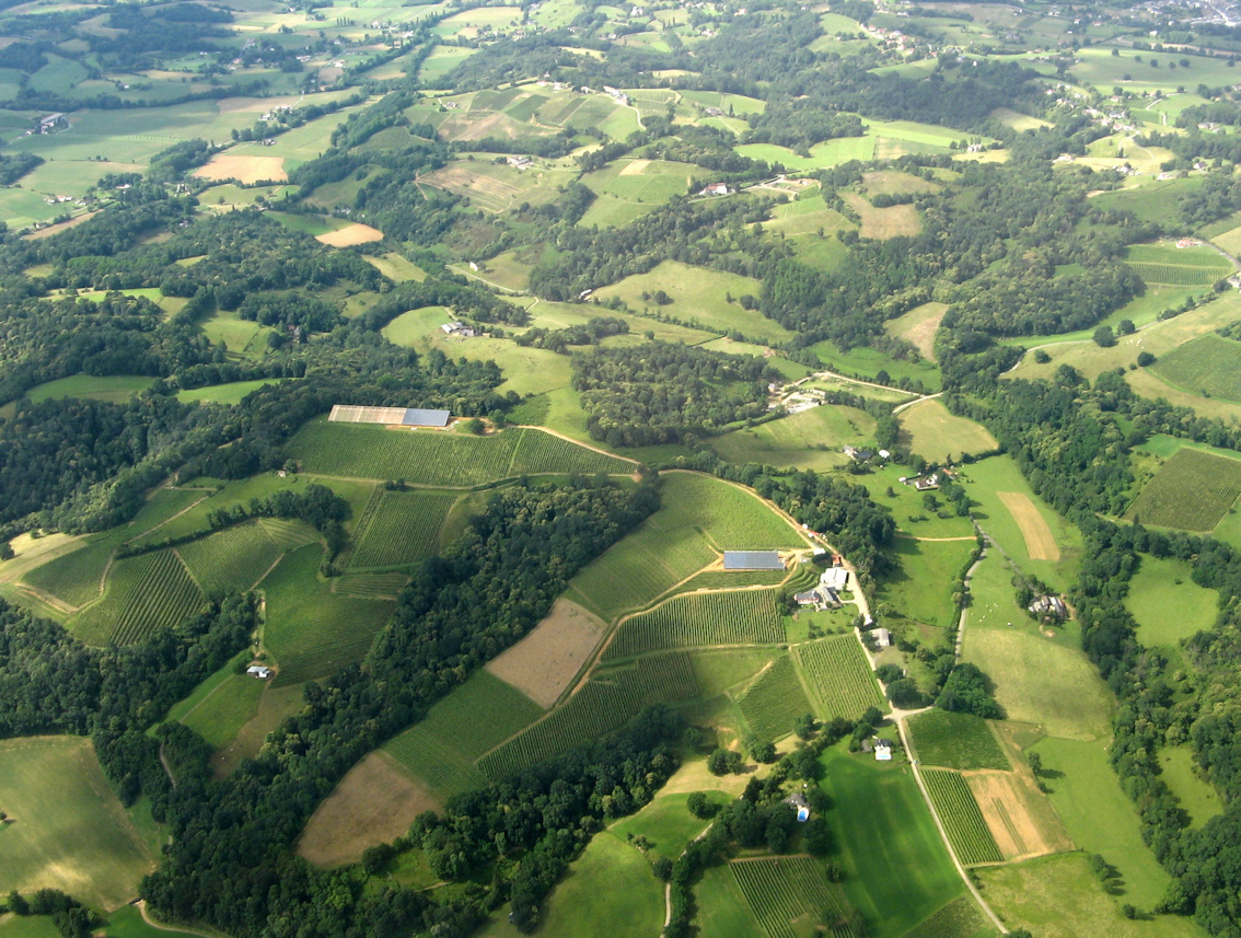 jurançon